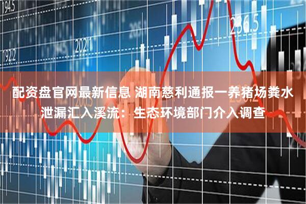 配资盘官网最新信息 湖南慈利通报一养猪场粪水泄漏汇入溪流：生态环境部门介入调查