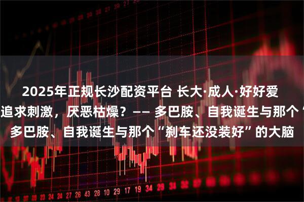 2025年正规长沙配资平台 长大·成人·好好爱 01：为什么青春期孩子追求刺激，厌恶枯燥？—— 多巴胺、自我诞生与那个“刹车还没装好”的大脑